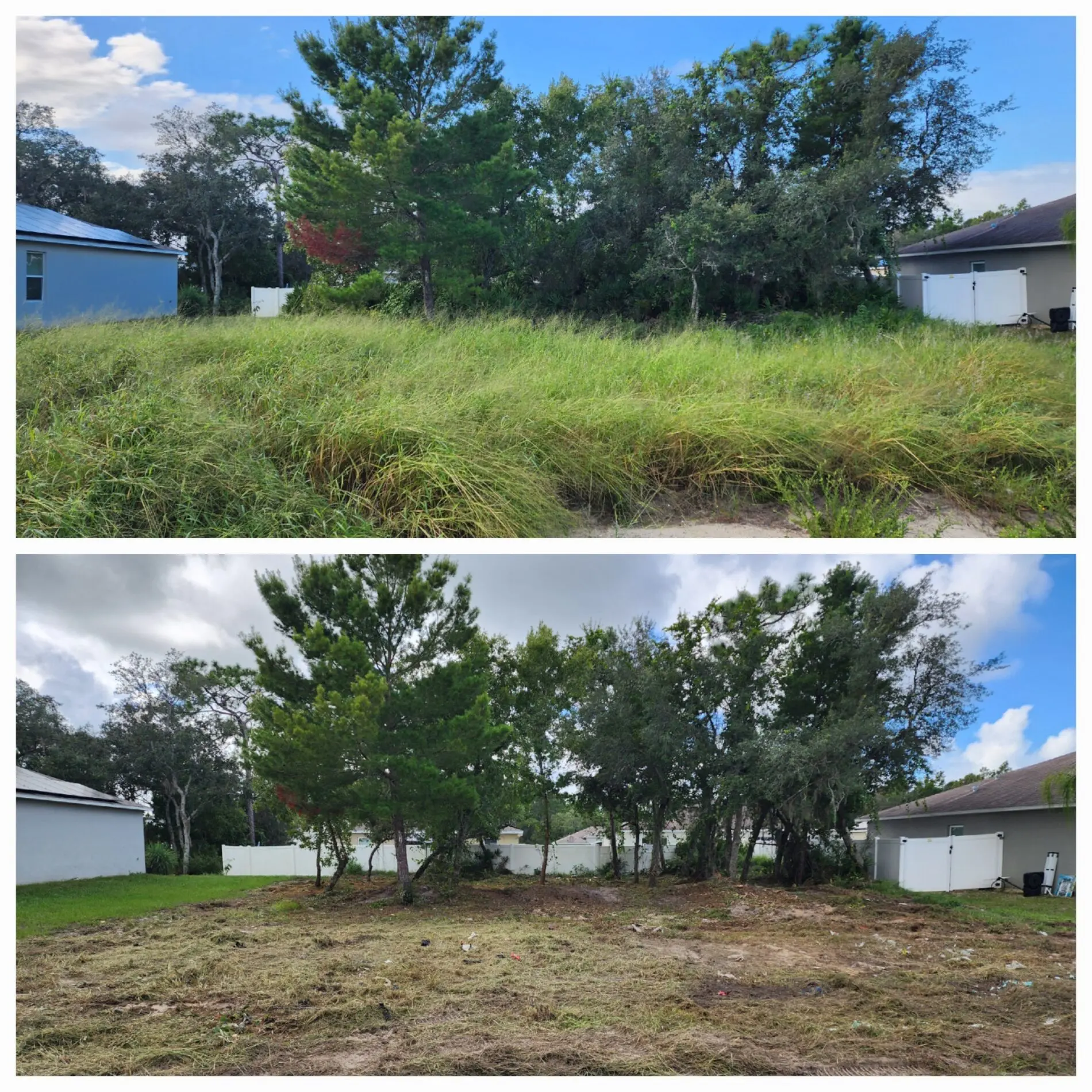 Before / After — Lot Clearing