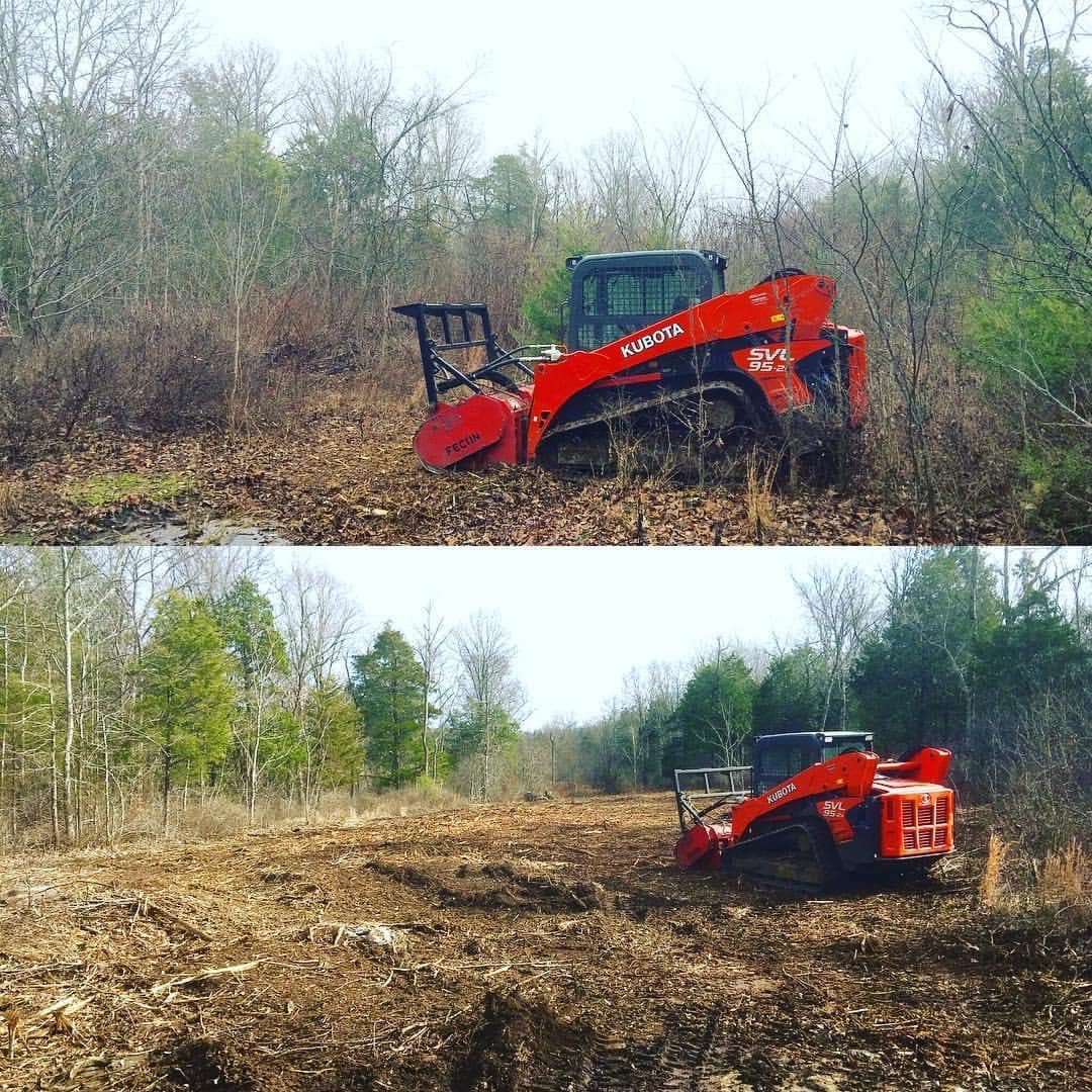 Before / After — Land Clearing
