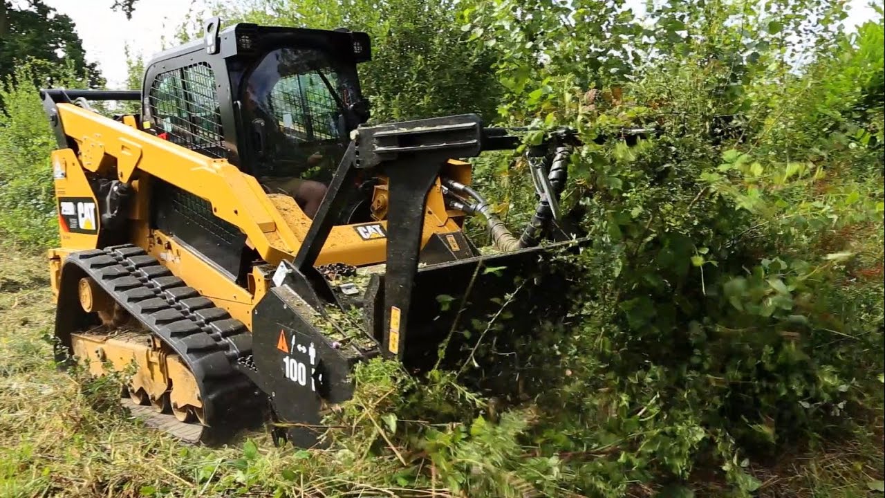 Brush Clearing